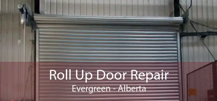 Roll Up Door Repair Evergreen - Alberta