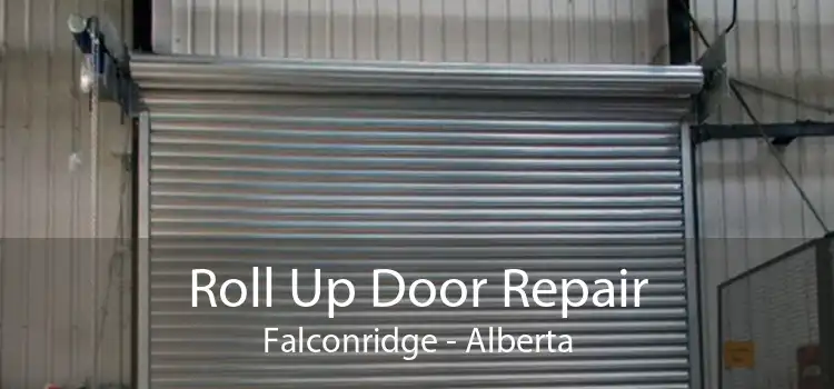 Roll Up Door Repair Falconridge - Alberta