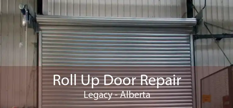 Roll Up Door Repair Legacy - Alberta