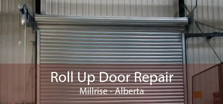 Roll Up Door Repair Millrise - Alberta