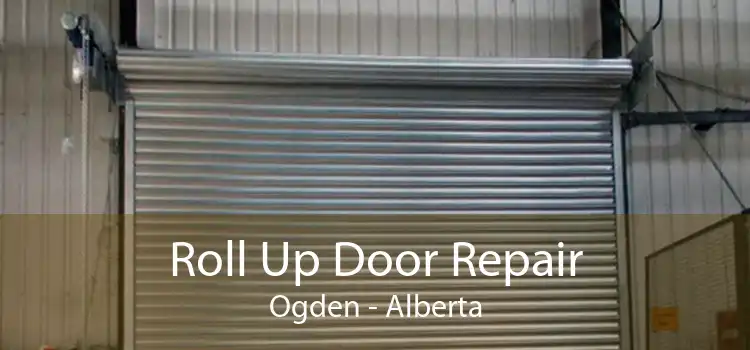 Roll Up Door Repair Ogden - Alberta
