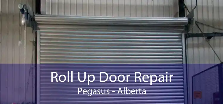 Roll Up Door Repair Pegasus - Alberta