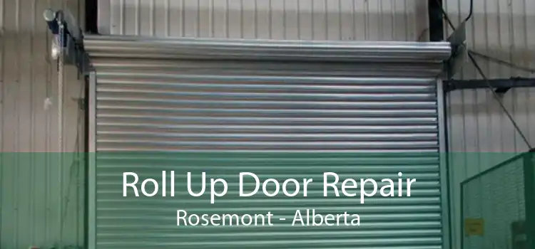 Roll Up Door Repair Rosemont - Alberta
