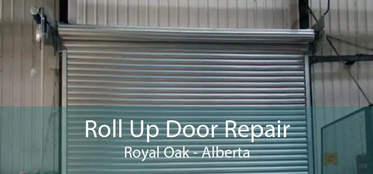 Roll Up Door Repair Royal Oak - Alberta