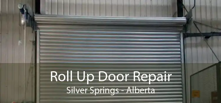 Roll Up Door Repair Silver Springs - Alberta