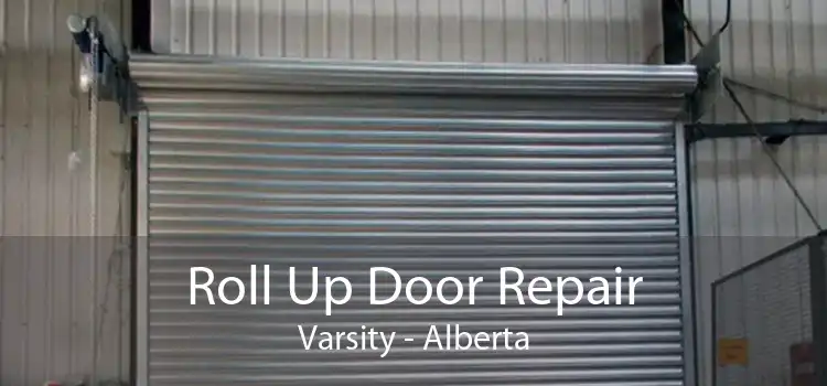 Roll Up Door Repair Varsity - Alberta