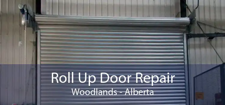 Roll Up Door Repair Woodlands - Alberta
