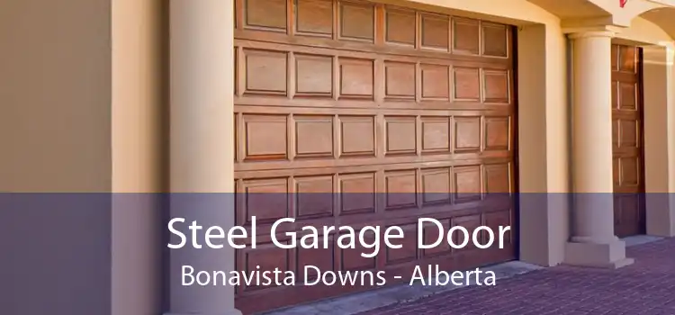 Steel Garage Door Bonavista Downs - Alberta