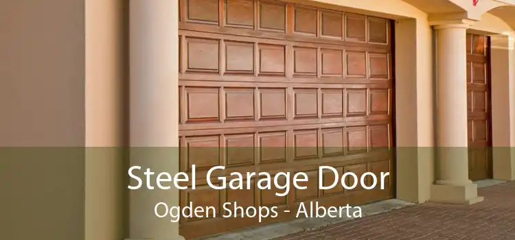 Steel Garage Door Ogden Shops - Alberta